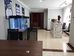 內蒙古中躍信息技術咨詢服務 賦能企業數字化轉型的專業力量